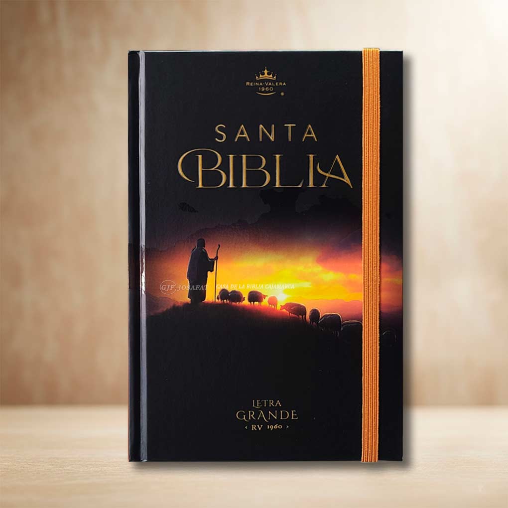 Tipo de Biblia: Reina Valera 1960 Letra: Grande