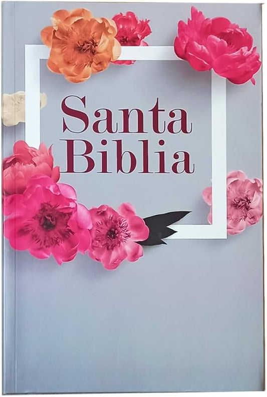 Tipo de Biblia: Reina Velera 1960  Letra: Grande  Color: gris
