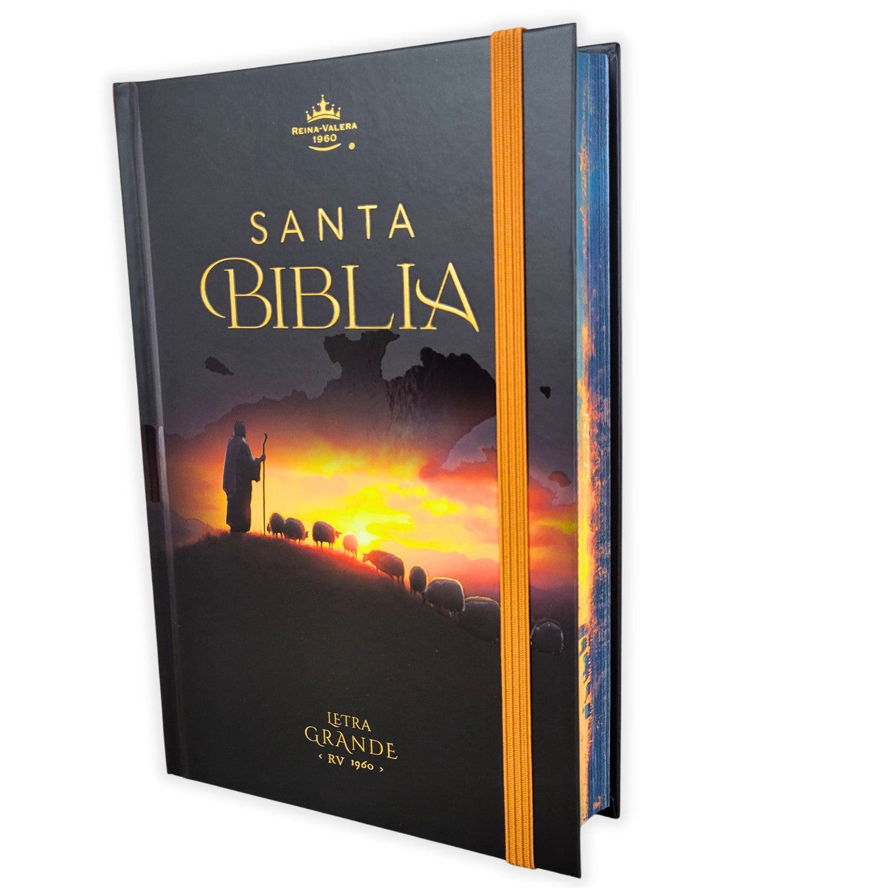 Tipo de Biblia: Reina Valera 1960  Letra: Grande