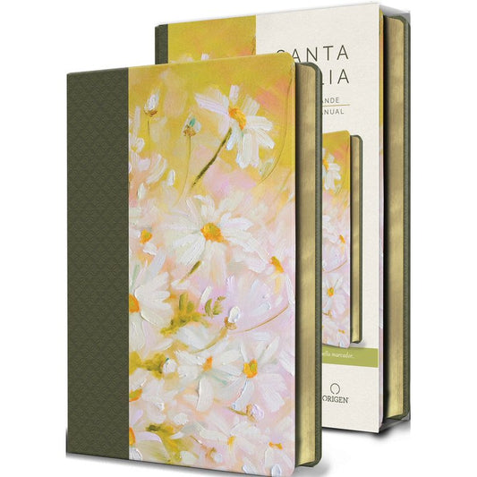 Tipo de Biblia: Reina Valera tamaño manual  Letra: Grande