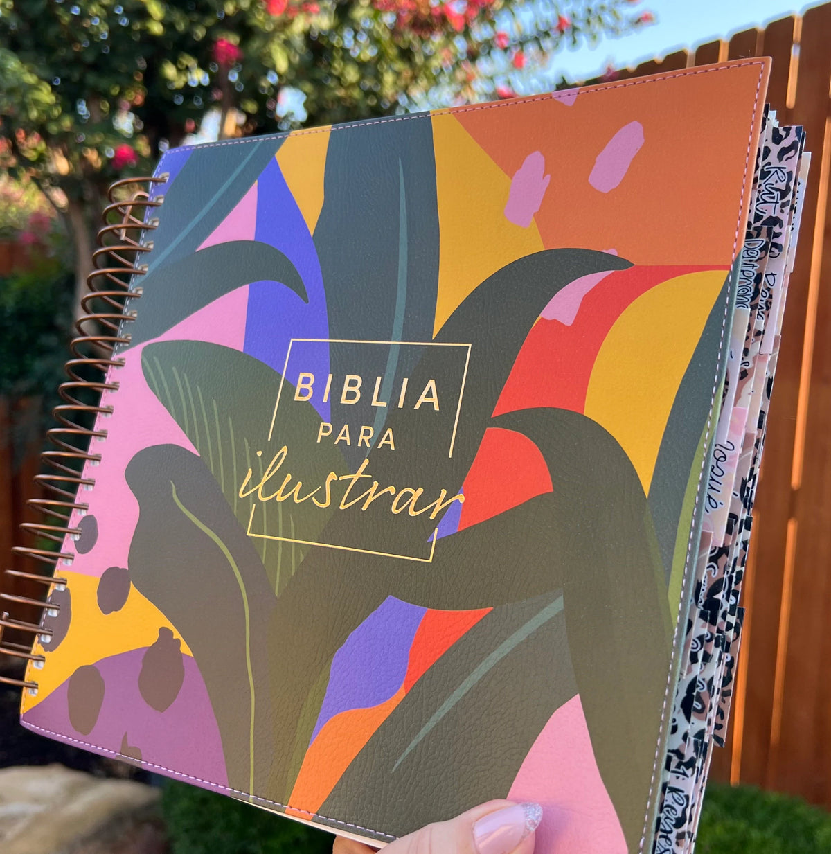 Tipo de Biblia: Reina Valera 1960 Biblia para Ilustrar  Letra: 8 puntos